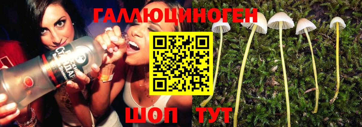 Хабаровск  Галлюциногенные грибы прущие грибы  Галлюциногенные грибы Psilocybe  Вход с VPN 